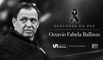 Octavio Fabela