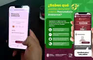 Llaman autoridades a denunciar delitos ambientales en Baja California