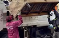 Levanta Gobierno de Claudia Agat�n 37 toneladas en jornada de recolecci�n de basura de traspatio
