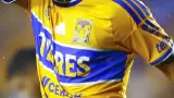 Tigres