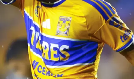 Tigres