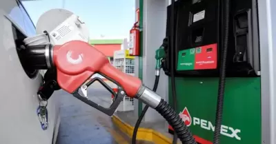 Gasolina