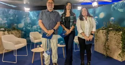 Octavio L�pez, CEO de Naci�n Verde