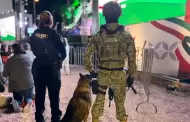 Con saldo blanco concluye operativo de seguridad por Fiestas Patrias en Ensenada