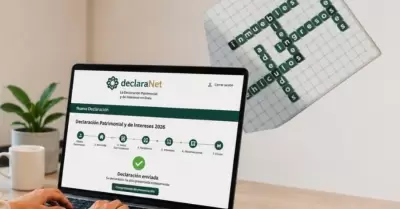 Declaraci�n patrimonial