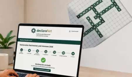 Declaraci�n patrimonial