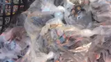 Tar�ntulas