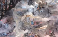 Rescatan 95 animales de tr�fico ilegal