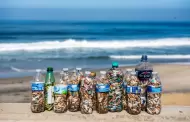Recolectan m�s de 20 mil colillas de cigarro en Playas de Tijuana durante "Colillat�n"