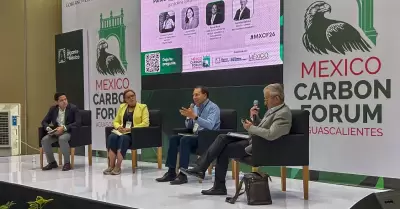 Posiciona Naci�n Verde restauraci�n forestal en foro de carbono.