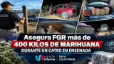 Asegura FGR m�s de 400 kilos de marihuana durante cateo.