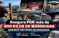 Asegura FGR m�s de 400 kilos de marihuana durante un cateo en Ensenada