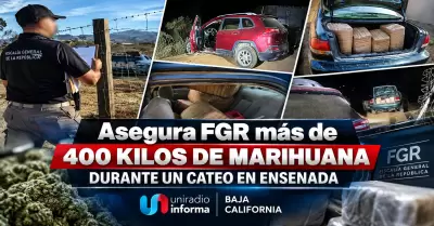 Asegura FGR m�s de 400 kilos de marihuana durante cateo.
