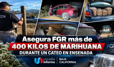 Asegura FGR m�s de 400 kilos de marihuana durante cateo.