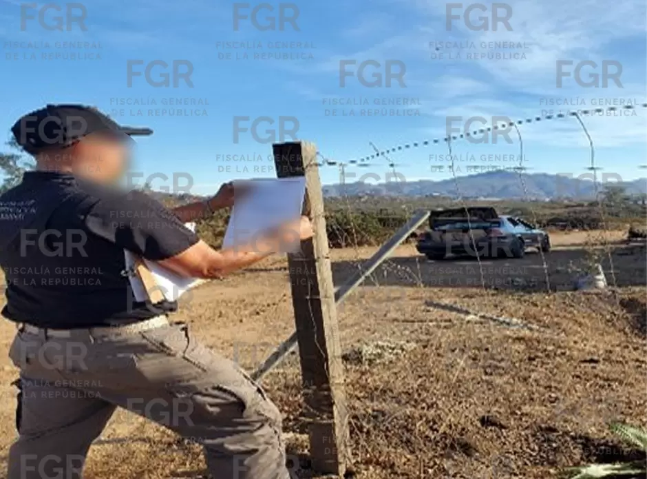 Asegura FGR más de 400 kilos de marihuana durante cateo.