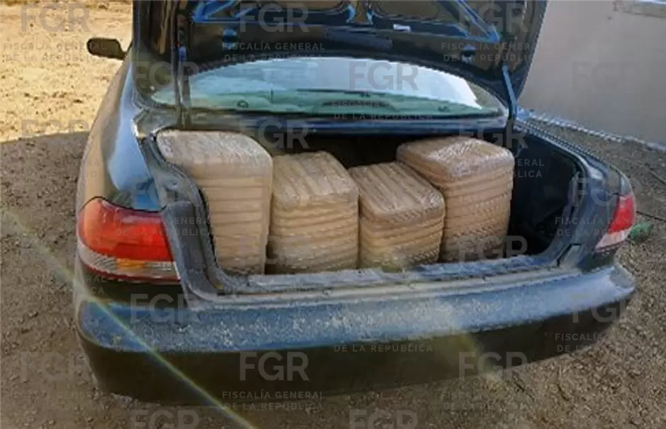 Asegura FGR más de 400 kilos de marihuana durante cateo.
