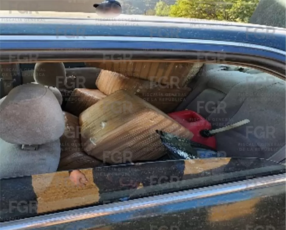 Asegura FGR más de 400 kilos de marihuana durante cateo.