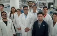 Estudia CICESE potencial biorremediador de�Typha latifolia�y sus hongos asociados
