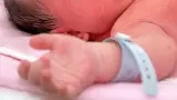 Beb�