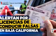 Alertan por licencias de conducir falsas en Baja California