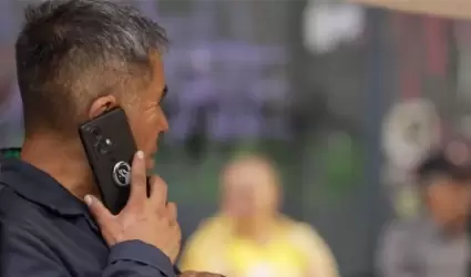 celular