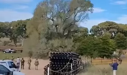 Derribo de �rbol hist�rico en avance de muro fronterizo