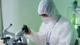 Muestras bajo un microscopio en un laboratorio.