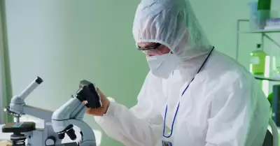 Muestras bajo un microscopio en un laboratorio.