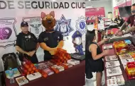 Orienta SSCBC a m�s de ocho mil residentes y visitantes durante Fiestas del Sol