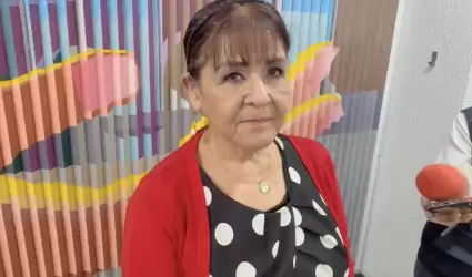 Gabriela Navarro Peraza, Secretaria T�cnica de la Comisi�n Interinstitucional Co