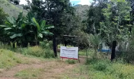 Nayarit