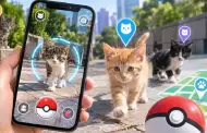 �Como Pok�mon GO, pero con gatos!