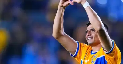 Tigres