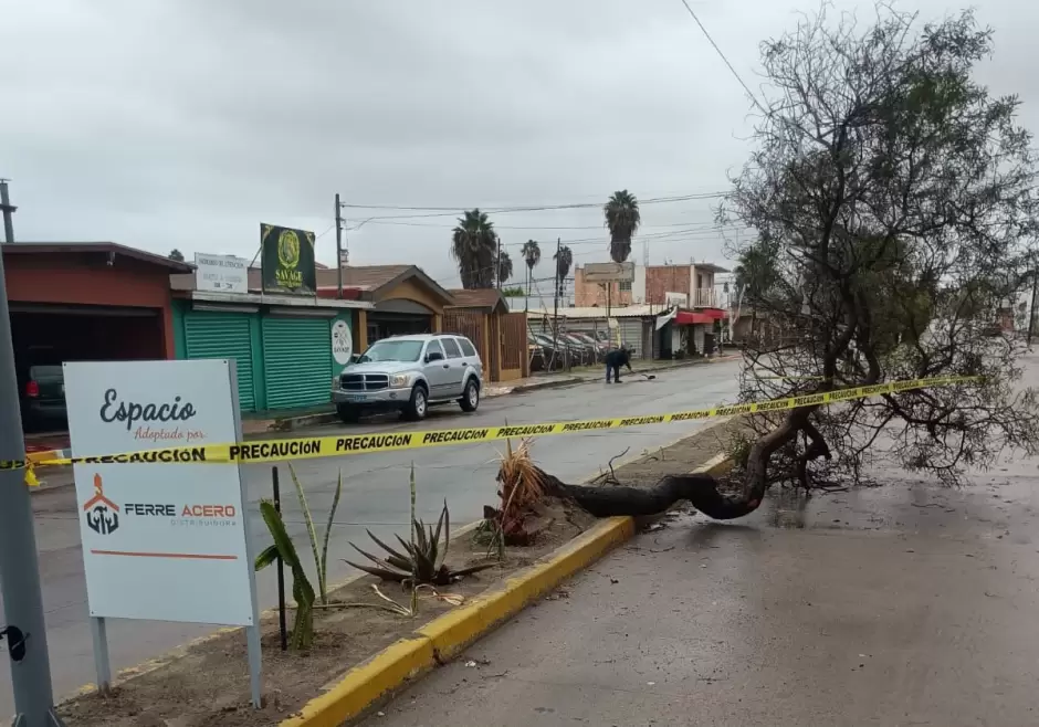Gobierno de Claudia Agatón mantiene operativos por tormenta Rachel; reportan inundaciones y 25 colonias sin luz