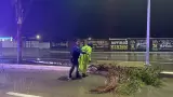 Salvaguardan a 150 personas y atienden afectaciones por condiciones clim�ticas e