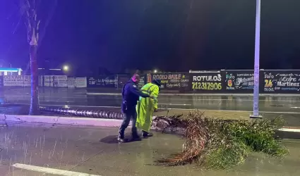 Salvaguardan a 150 personas y atienden afectaciones por condiciones clim�ticas e