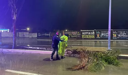 Salvaguardan a 150 personas y atienden afectaciones por condiciones clim�ticas e