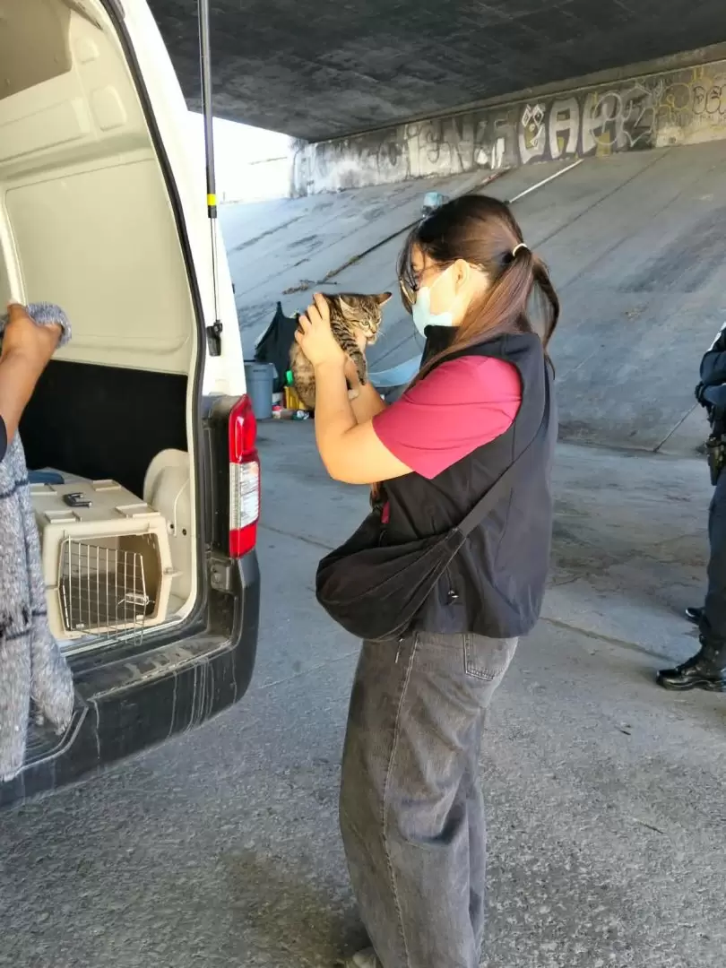Santuario Mily resguarda a animales de compa��a durante operativo en el r�o Tijuana
