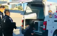 Santuario Mily resguarda a animales de compa��a durante operativo en el r�o Tijuana