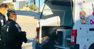 Santuario Mily resguarda a animales de compa��a durante operativo en el r�o Tiju