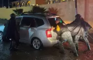 Despliega Defensa a m�s de 3 mil militares en Tijuana por remanentes de Rachel