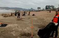 Intensifica Gobierno de Ensenada limpieza de playas tras el paso de Rachel