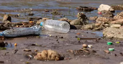 Exhortan a mantener espacios libres de basura para prevenir inundaciones en Baja