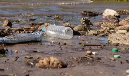 Exhortan a mantener espacios libres de basura para prevenir inundaciones en Baja