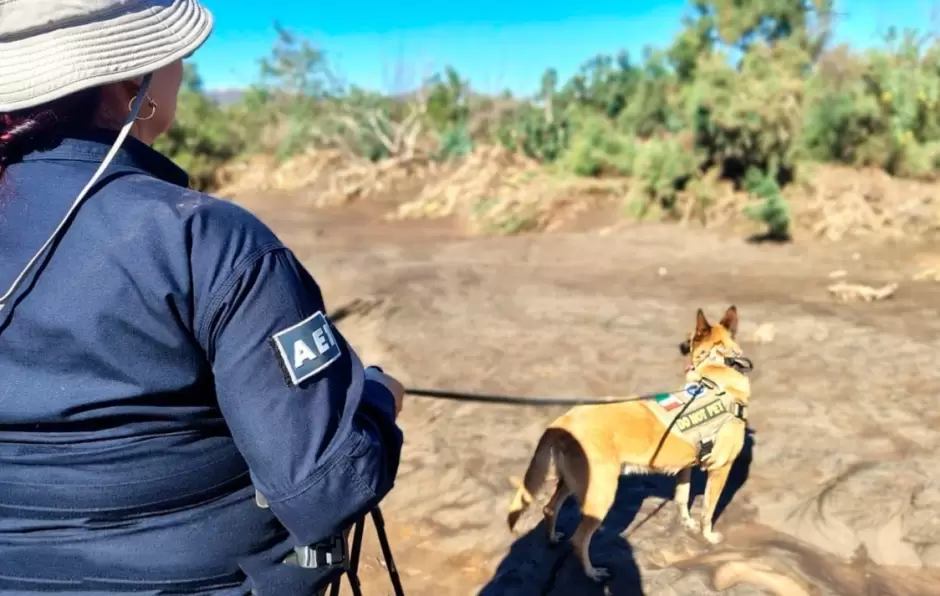 Labores de búsqueda de personas no localizadas tras el paso de la tormenta tropical Rachel