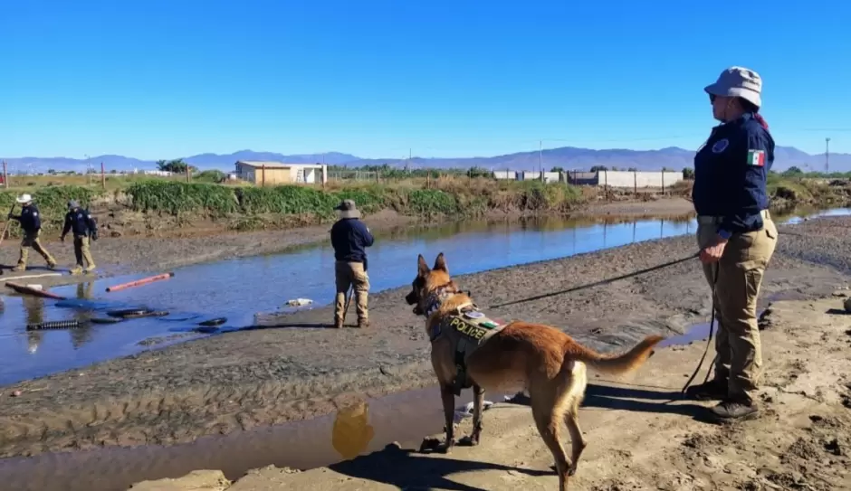 Labores de búsqueda de personas no localizadas tras el paso de la tormenta tropical Rachel