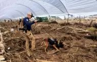 Fiscal�a refuerza labores de b�squeda de personas no localizadas tras el paso de la tormenta tropical Rachel