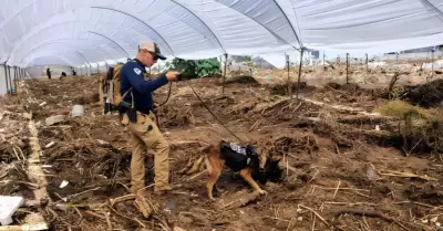 Labores de b�squeda de personas no localizadas tras el paso de la tormenta tropi