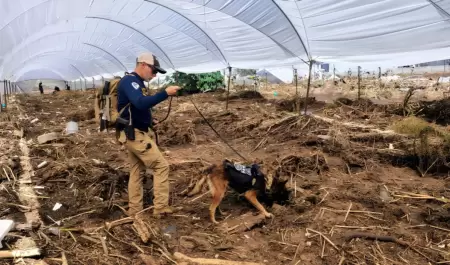 Labores de b�squeda de personas no localizadas tras el paso de la tormenta tropi