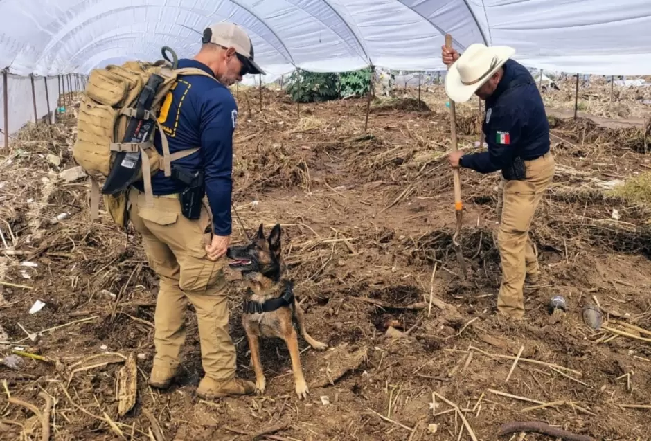Labores de búsqueda de personas no localizadas tras el paso de la tormenta tropical Rachel